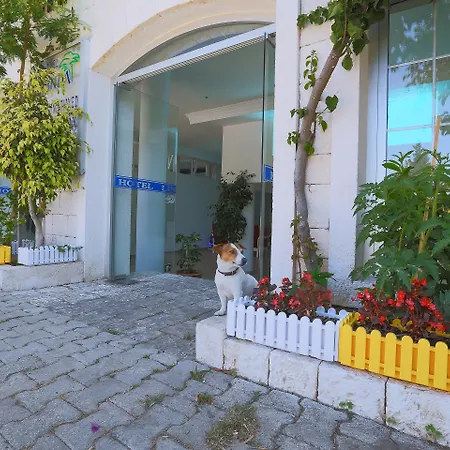 Linda Class - Boutique Class Hotel